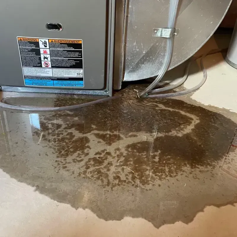 Appliance Leak Cleanup in Garvin County, OK